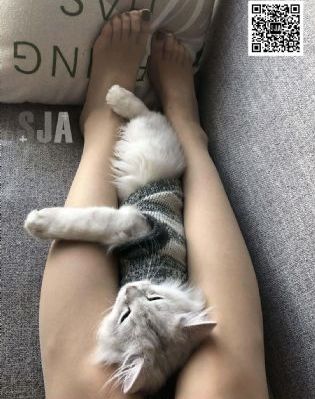 国产性色aⅤ免费观看在线视频最新_720免费观看最新